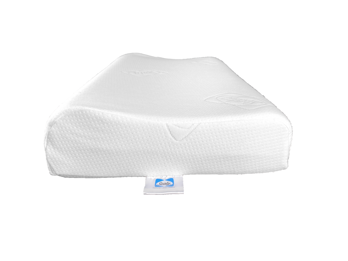 Sealy latex foam outlet pillow