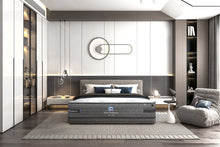 Load image into Gallery viewer, LUXE SUITE [NEW HOTEL COLLECTION]