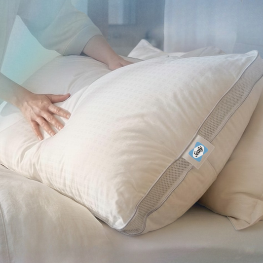 SEALY CLOUD AIR CLASSIC PILLOW [NEW]