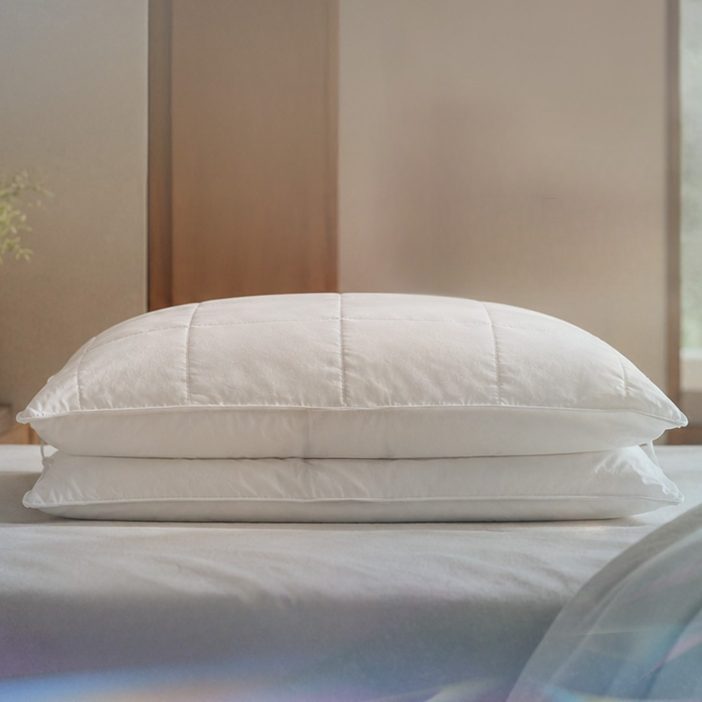 SEALY DUAL COMFORT PILLOW [NEW]