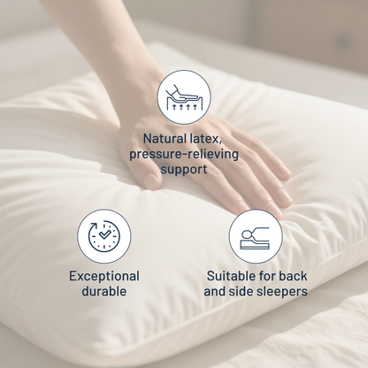 SEALY LATEX CLASSIC PILLOW